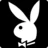 Playboy TV Review